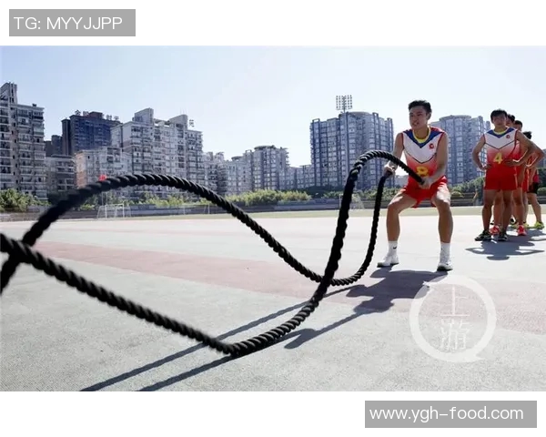 深圳排球队的耐力训练与比赛表现深度剖析