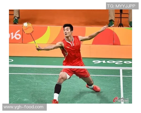 杭州羽毛球队在锦标赛中的速度表现分析与精彩回顾