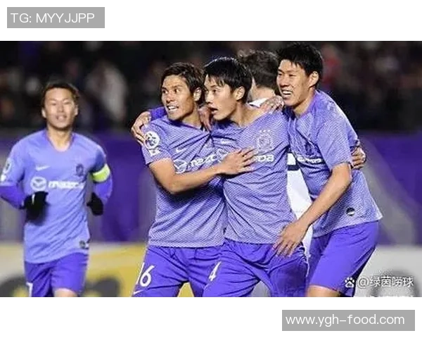 杭州足球队战术之争引发热议球迷与专家观点交锋分析 杭州足球队战术之争引发热议球迷与专家观点交锋分析