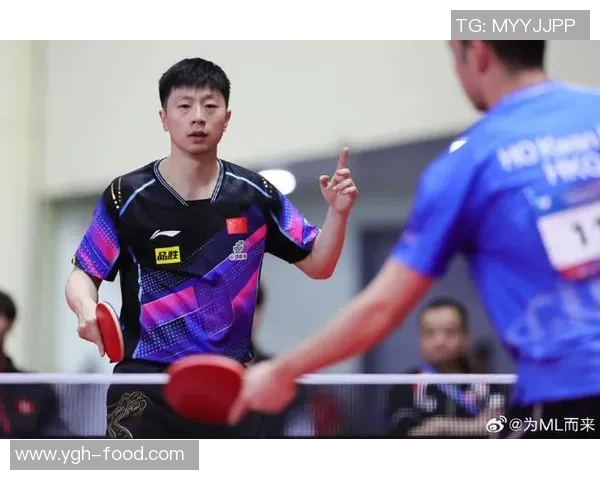 深圳乒乓球队引领最新乒乓球节奏TOP10榜单全景解析