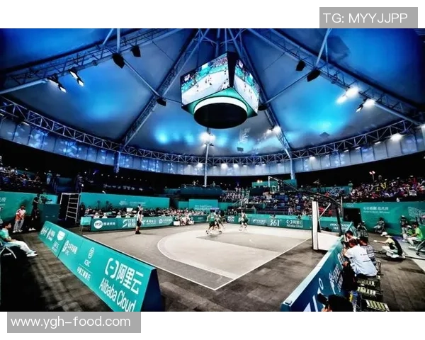 杭州篮球队速度之争引发热议球迷观点各异探讨战术与表现