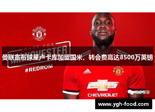 曼联宣布球星卢卡库加盟国米，转会费高达8500万英镑
