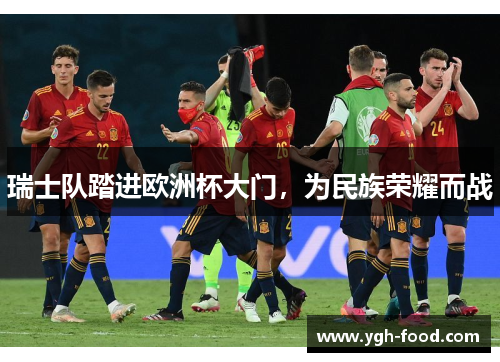 瑞士队踏进欧洲杯大门，为民族荣耀而战