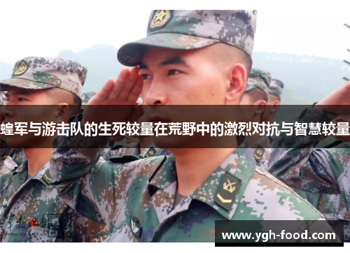 蝗军与游击队的生死较量在荒野中的激烈对抗与智慧较量